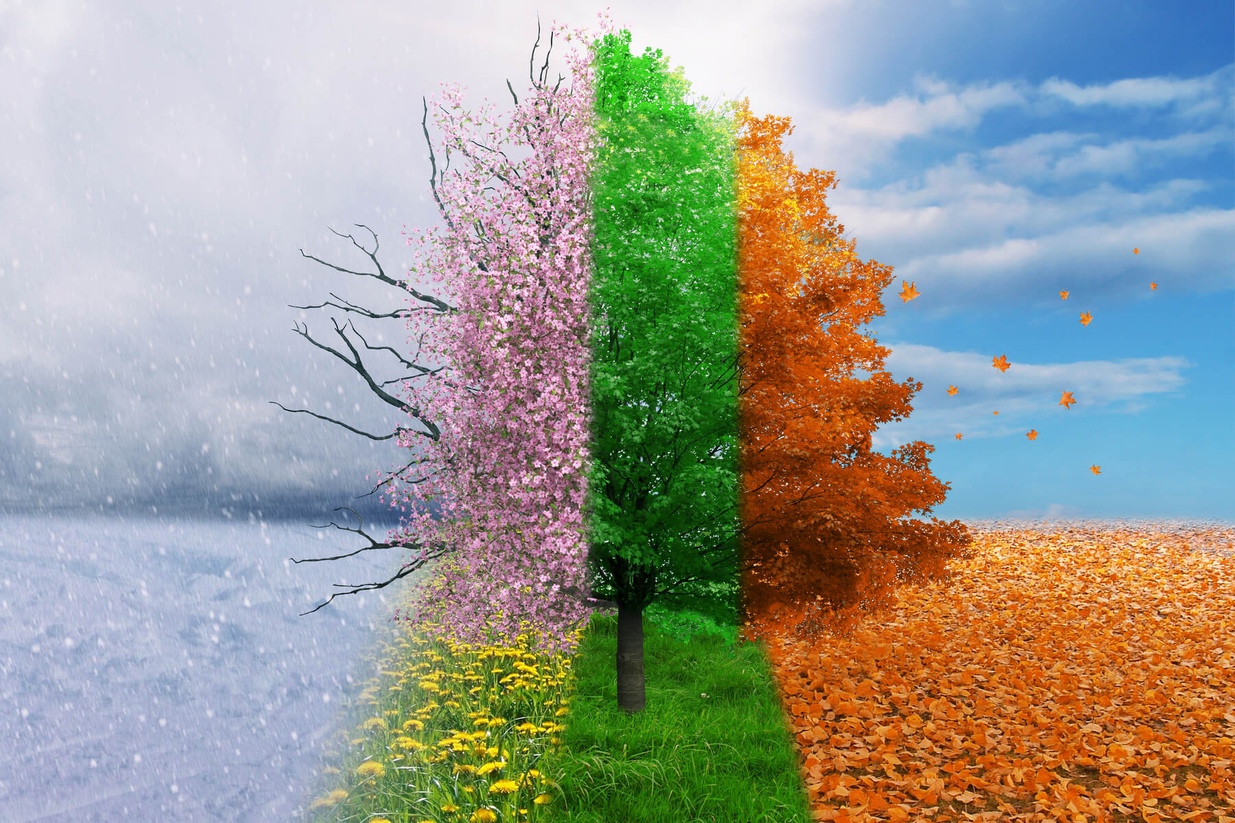 How to Build a Seasonal Marketing Plan Grontech